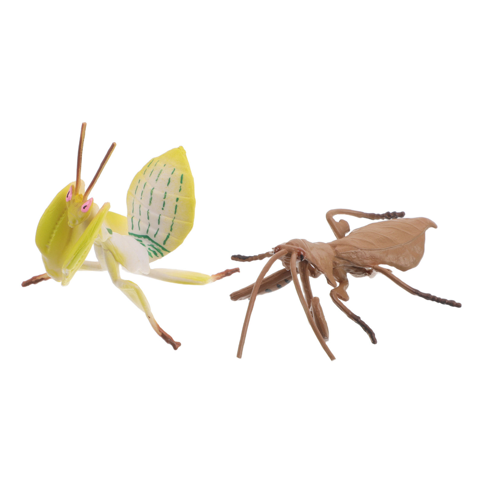 2Pcs Realistic Praying Mantis  - Science Toys recension och pris