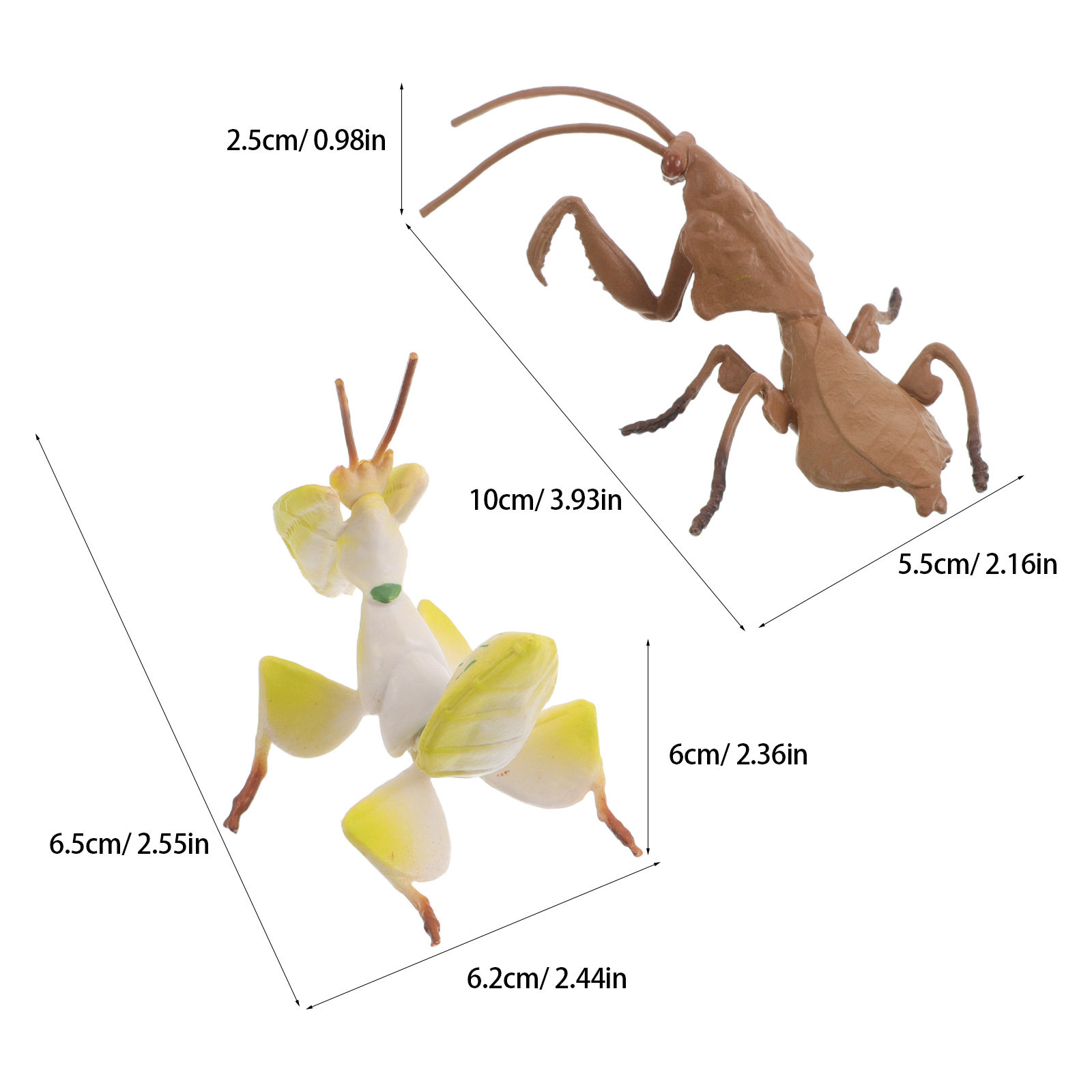 2Pcs Realistic Praying Mantis  - Science Toys recension och pris